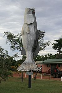 Big Barra Normanton.JPG