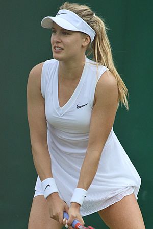 Bouchard WM19 (8) (48521872326)