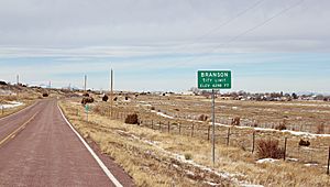 Entering Branson from the south.