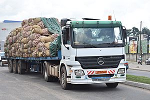 Camions d'oignons