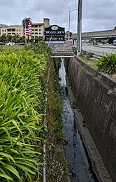 Colma Creek at Woodlawn