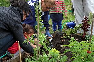 Community garden