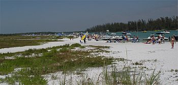 DSC03623 Keeywaydin Island's public beach.JPG