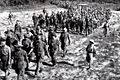 Dien Bien Phu 1954 French prisoners