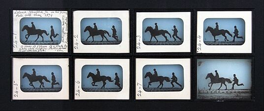 Eadweard Muybridge - Leland Stanford Jr. on his Pony "Gypsy" - Google Art Project