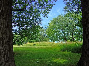 Elmside Park Mounds.jpg