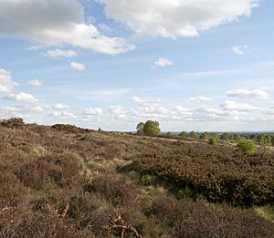 Gentleshaw Common.jpg