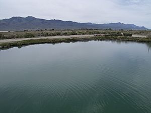 Hot spring in Gerlach, Nevada