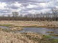 Kankakee River Aukiki 25