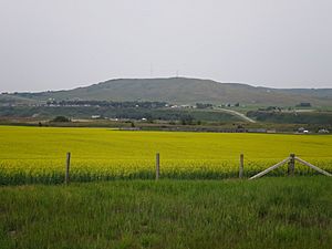 Longview seen across the Highwood River