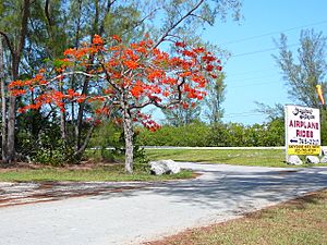 Lower Sugarloaf Key airport