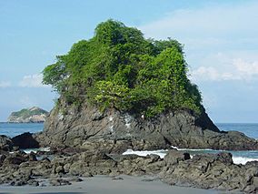 Manuel antonio 06 april 2005.jpeg