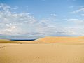 Myall Lakes National Park Dunes