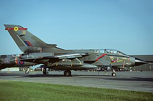 Panavia Tornado GR1, UK - Air Force AN1297314