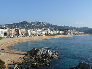 Platja de Lloret.jpg