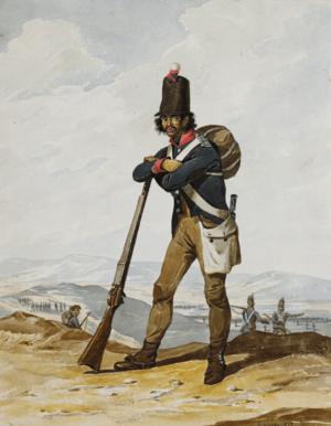 Portuguese Army, Militia (1812) - Denis Dighton