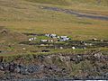 Potato patches (Tristan da Cunha)