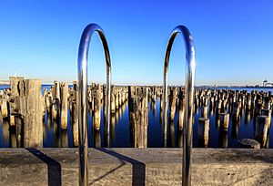 Princes Pier during the day