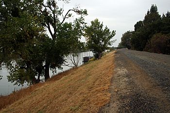 Sacramento River Levee