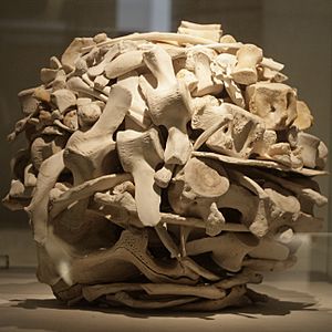 Sculpture in National Museum of Scotland by Andy Goldsworthy