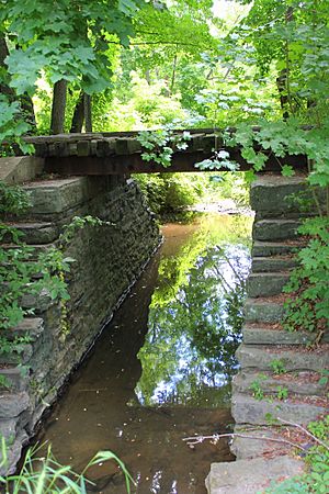 Swale Brook 2