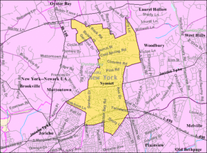 Syosset-ny-map