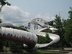 The Alpine Bobsled roller coaster.jpg