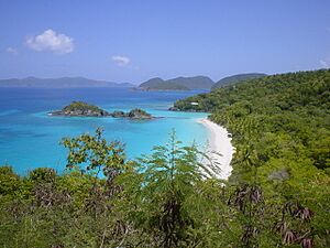 Trunk Bay in St. John