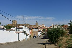 Vista de Cea.jpg