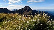 Yu-Shan National Park(WDPA-9030)-PeterWen-6