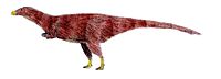 Achillesaurus.jpg