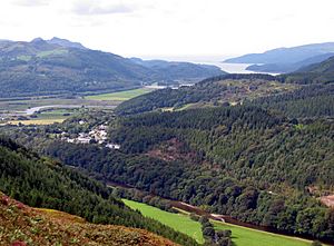 Afon Mawddach.jpg