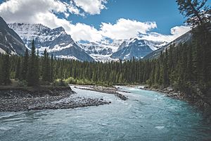 The confluence of the Alexandra River and the Castleguard River