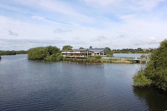 Attenborough Nature Reserve 03