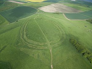 Barbury Castle Aerial View (2)