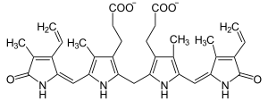 Bilirubin