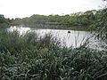 Brent reservoir northern arm