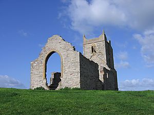 Burrow Mump