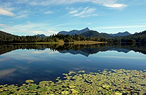 Clarrie hall dam mount warning