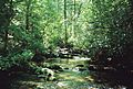 Crabtree Falls Upper Stream