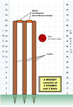 Cricket Stumps en