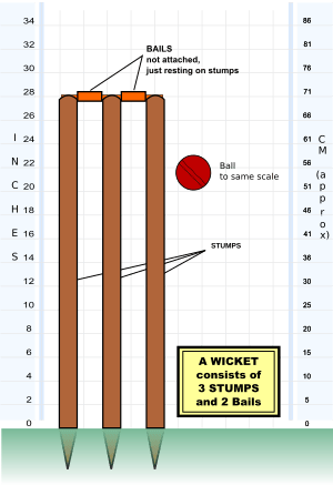 Cricket Stumps en