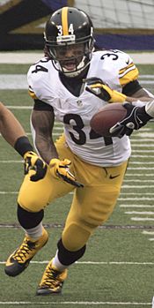 DeAngelo Williams 2015