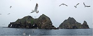 Dokdo 20080628-panorama