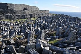 Dun Aonghasa-cheval de frise