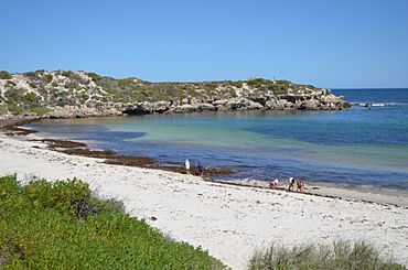 Dynamite Bay, Green Head, 2013.JPG