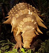 Edmontonia model