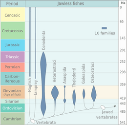 Evolution of jawless fish