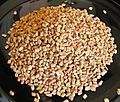 Fenugreek-methi-seeds.jpg