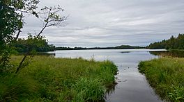 Finger Lake, Alaska.jpg